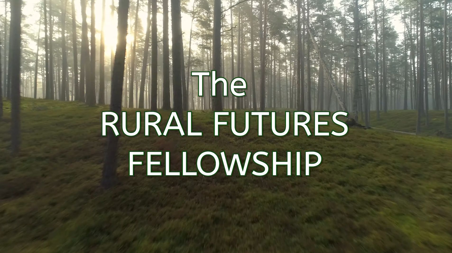 Opening title card from the BPF RuFu Fellowship film. The words “The Rural Futures Fellowship” over a low aerial shot flying through a misty, sunlit pine forest.